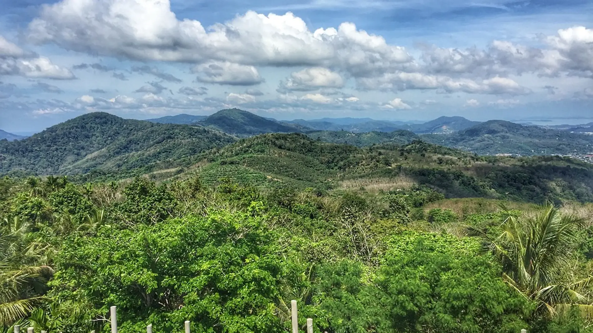 Selva en Tailandia