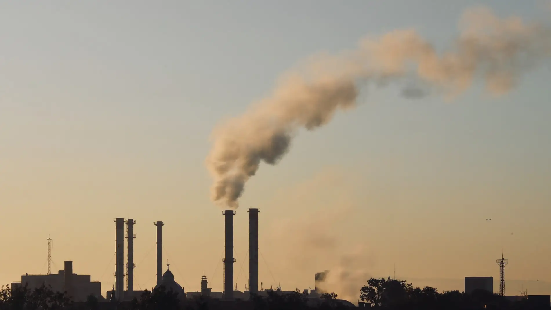 La OMS llama a la accion climatica para una recuperacion duradera tras la covid 19