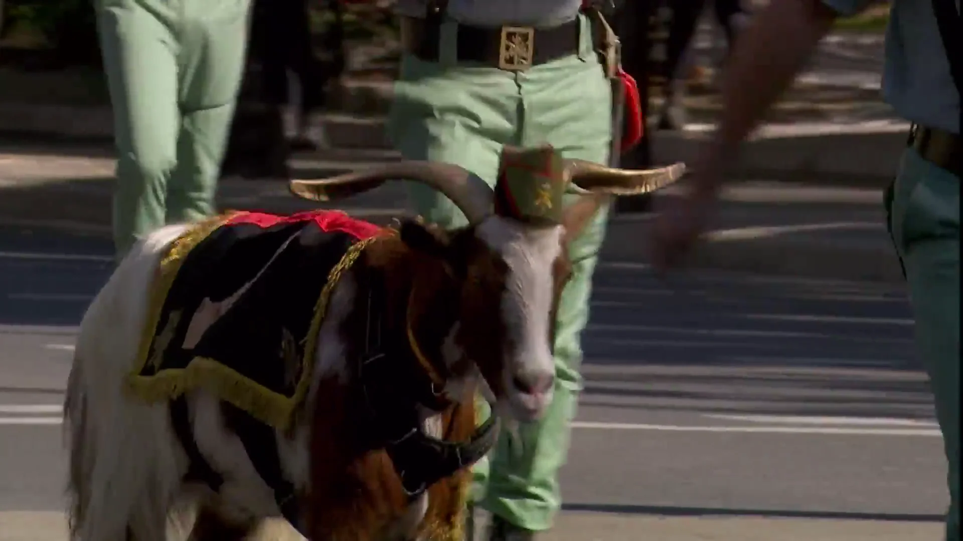 desfile Legión