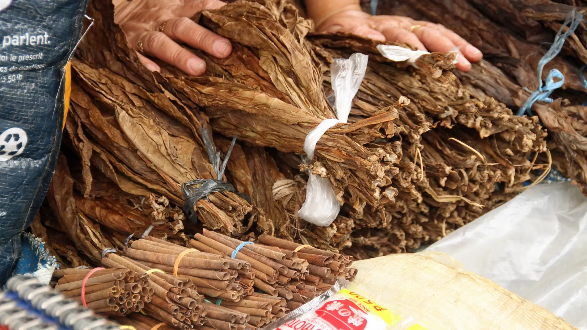 Hojas de tabaco