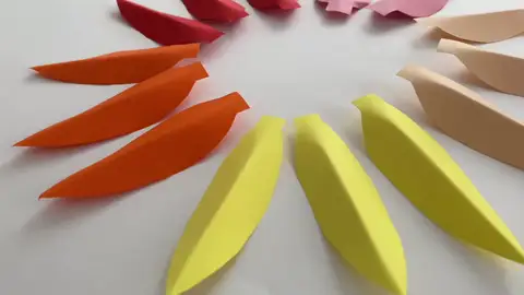 Por qué las mujeres ven más colores que los hombres Por qué las mujeres ven más colores que los hombres