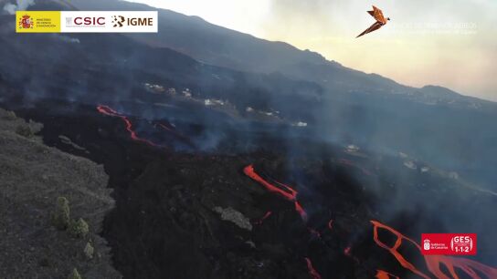Volcán de La Palma | Un nuevo río de lava avanza hacia el mar casi un mes después del inicio de la erupción