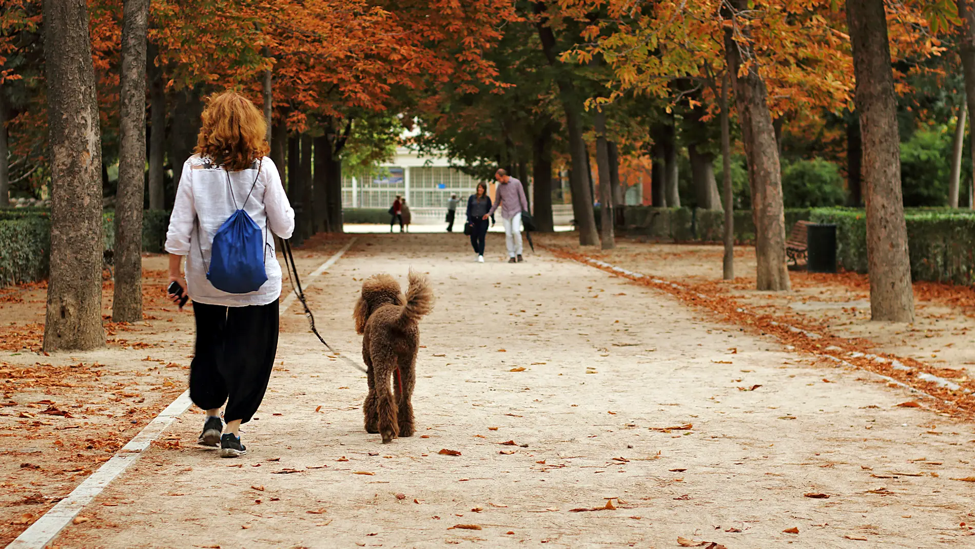 Las personas de barrios mas humildes de Madrid realizan menos actividad fisica en los parques