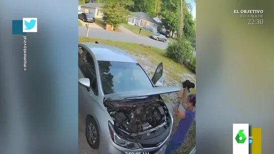 El susto de una joven al descubrir a un montón de gatitos bajo el capó de su coche El susto de una joven al descubrir a un montón de gatitos bajo el capó de su coche