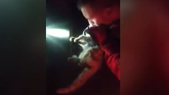 Un militar reanima a un gato