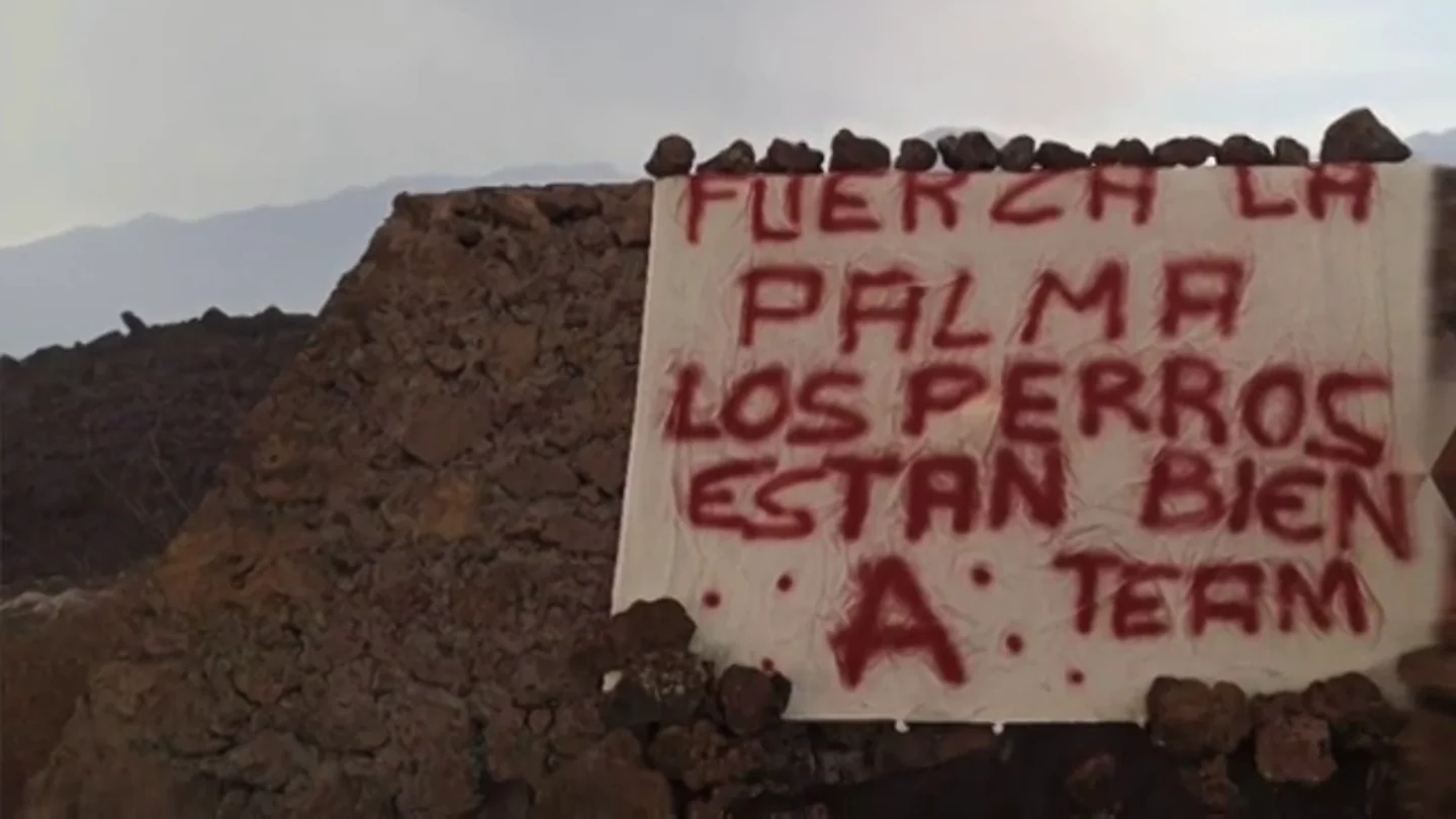 "Los perros están bien": el vídeo (con cartel incluido) del 'Equipo A' sobre el misterioso rescate en La Palma "Los perros están bien": el vídeo (con cartel incluido) del 'Equipo A' sobre el misterioso rescate en La Palma