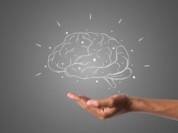 ¿Cuáles son los primeros síntomas del Alzheimer y cómo podemos prevenirlos? ¿Cuáles son los primeros síntomas del Alzheimer y cómo podemos prevenirlos?