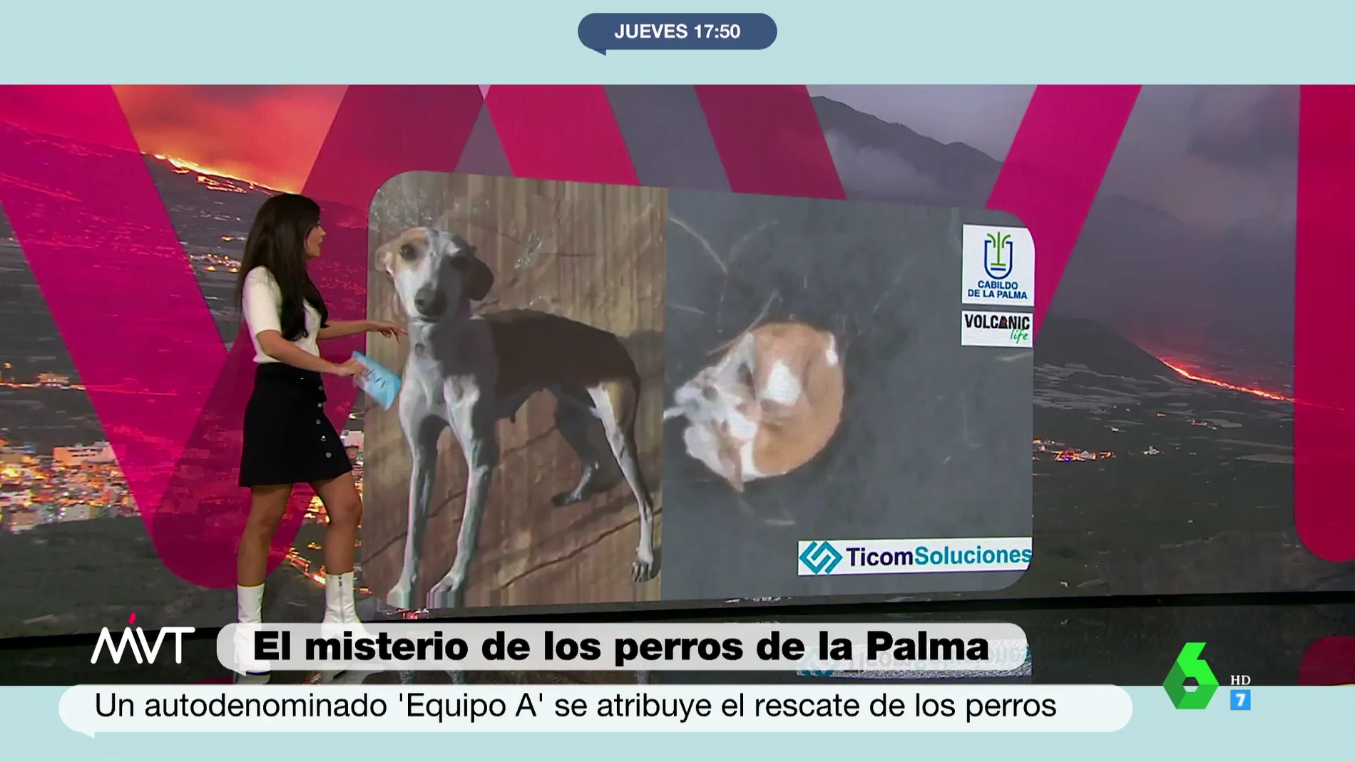 Esto es todo lo que se sabe de la misteriosa desaparición de los perros de La Palma