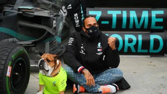 Lewis Hamilton y su perro, Roscoe Lewis Hamilton y su perro, Roscoe