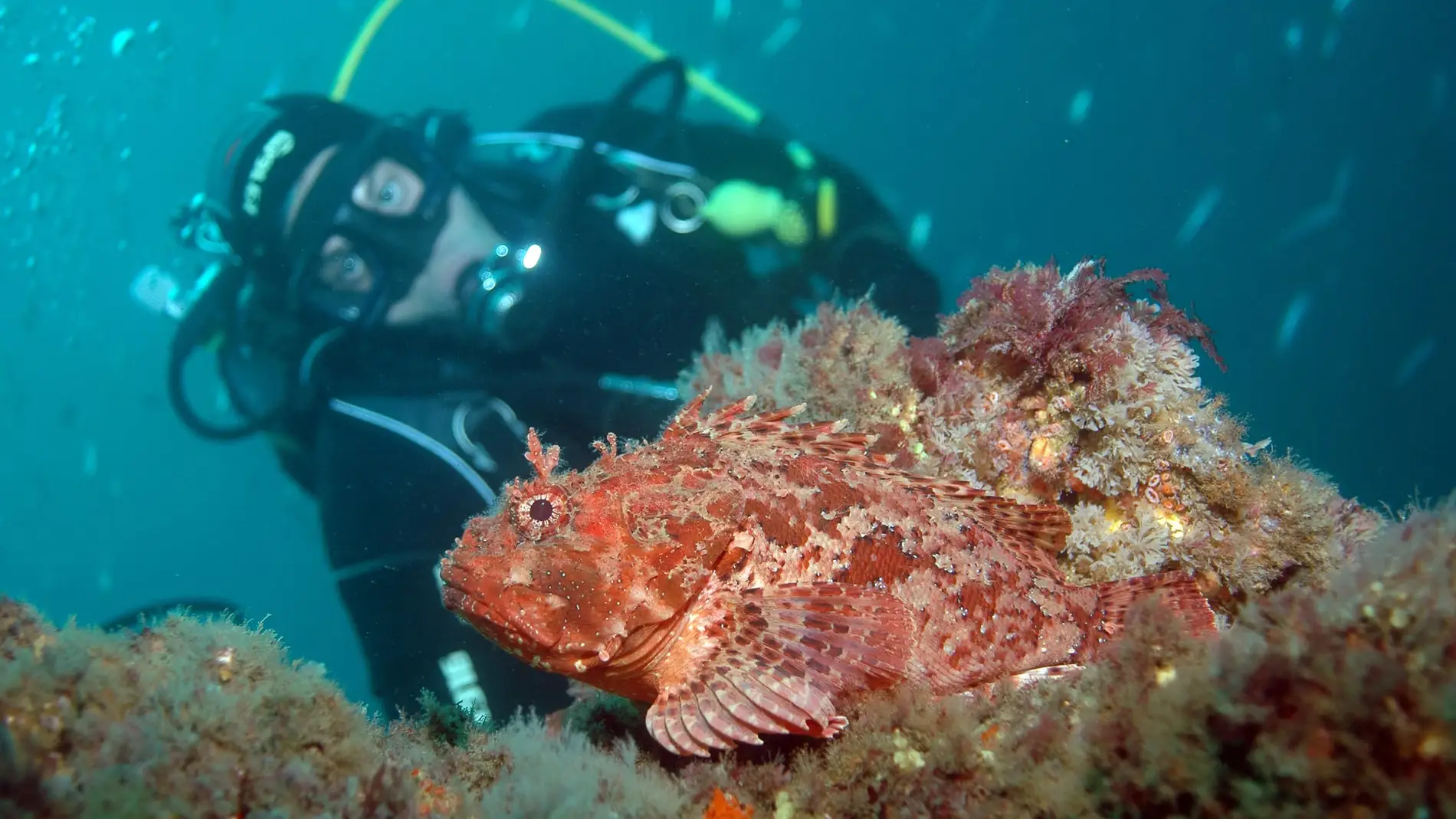 Los efectos de la crisis climatica en los oceanos seran mas intensos de lo que se creia