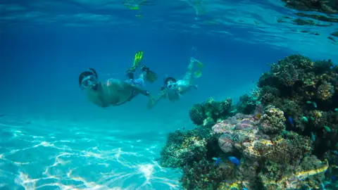 Buceo en las Islas Cook Buceo en las Islas Cook