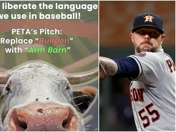 Cartel de la PETA y Ryan Pressly, de los Houston Astros