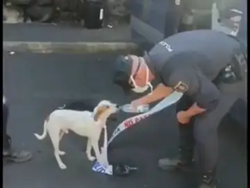 El emotivo rescate de Nemo, un perro encontrado por la Policía tras perderse en La Palma