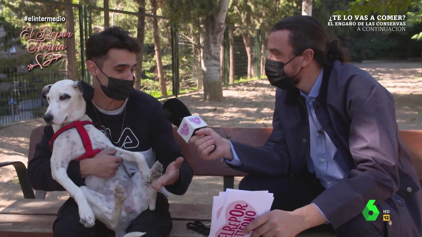 La cómica reacción de una perra cuando David Pareja habla sobre comérsela en pleno reportaje La cómica reacción de una perra cuando David Pareja habla sobre comérsela en pleno reportaje