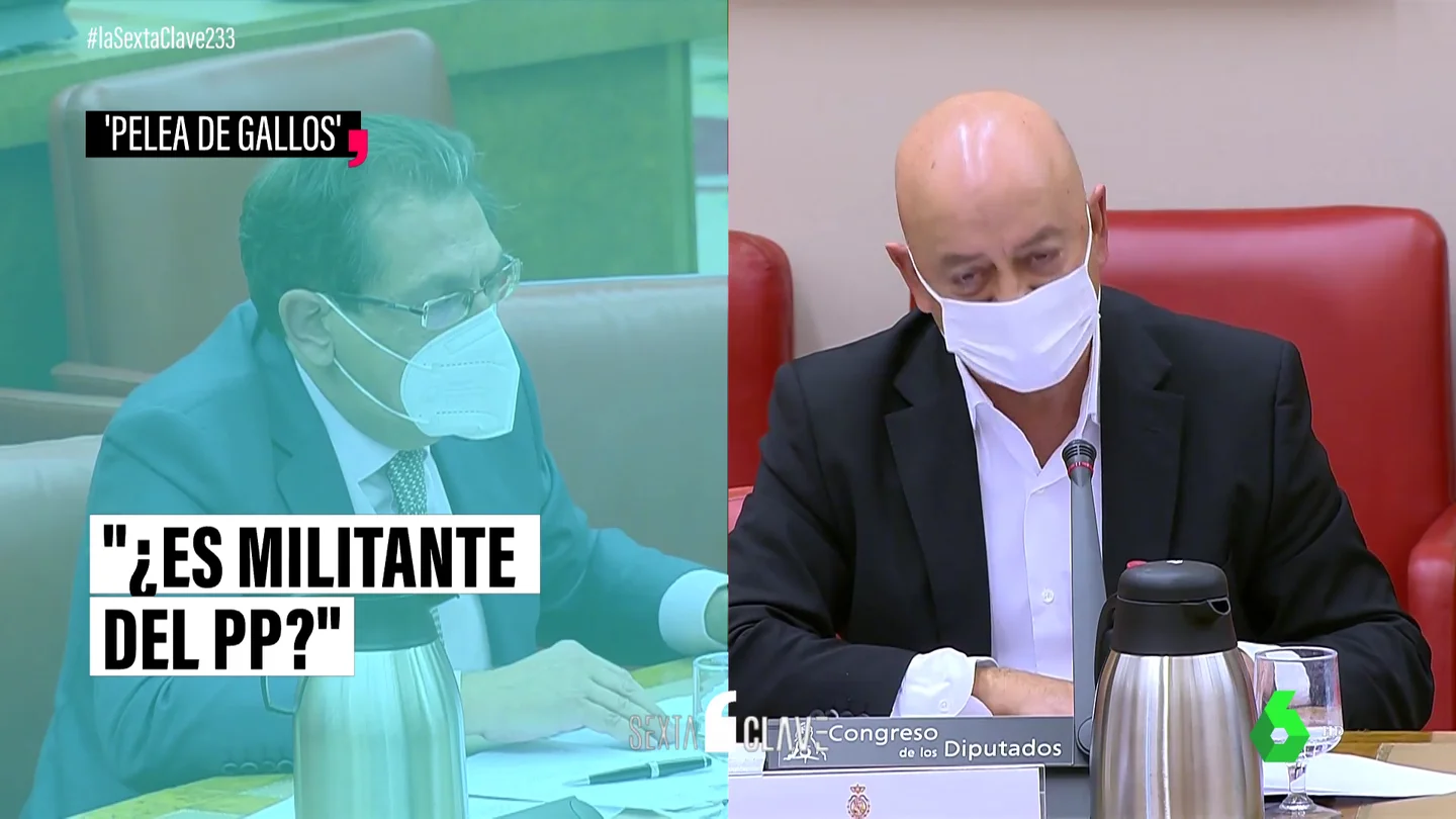 PELEA PELEA