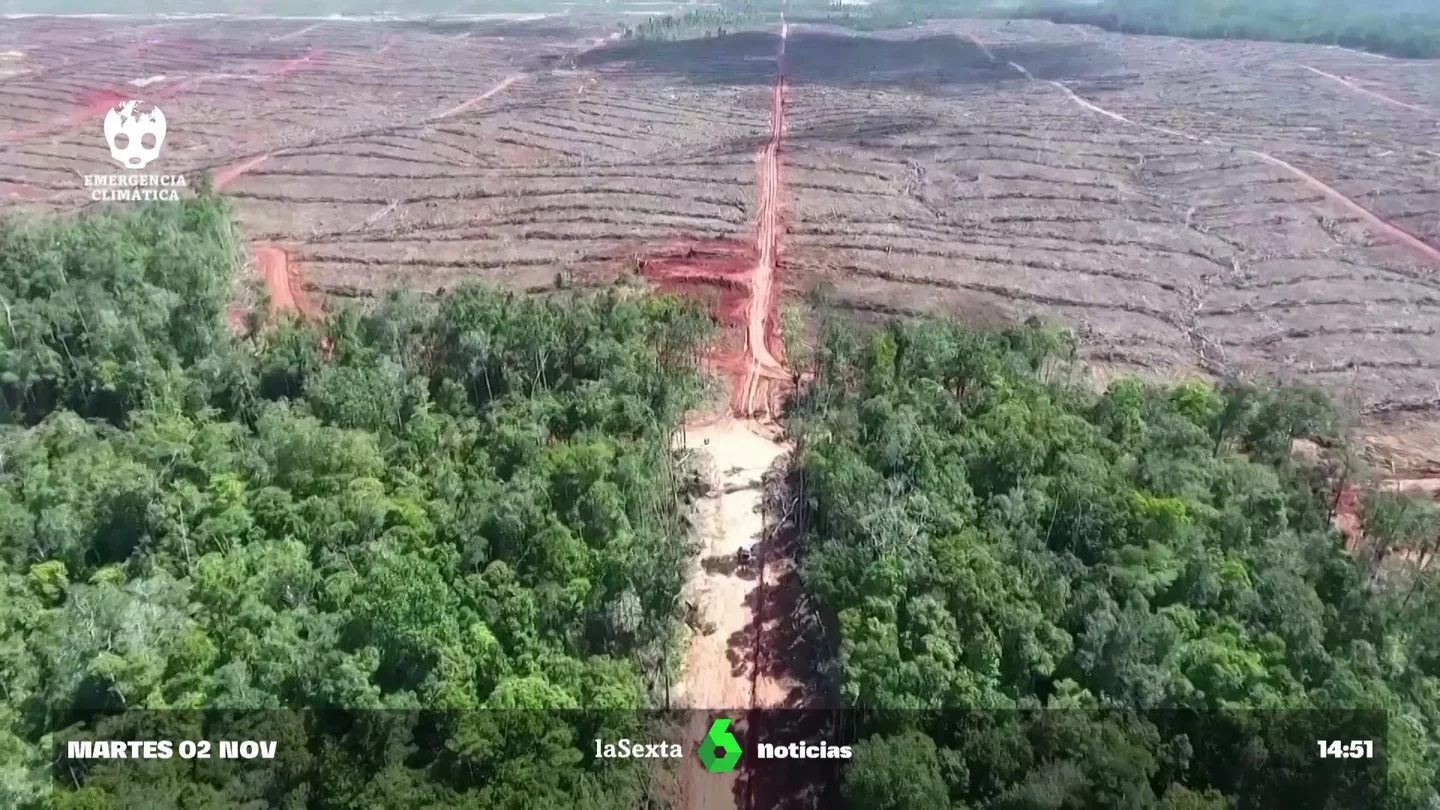 Deforestación Deforestación