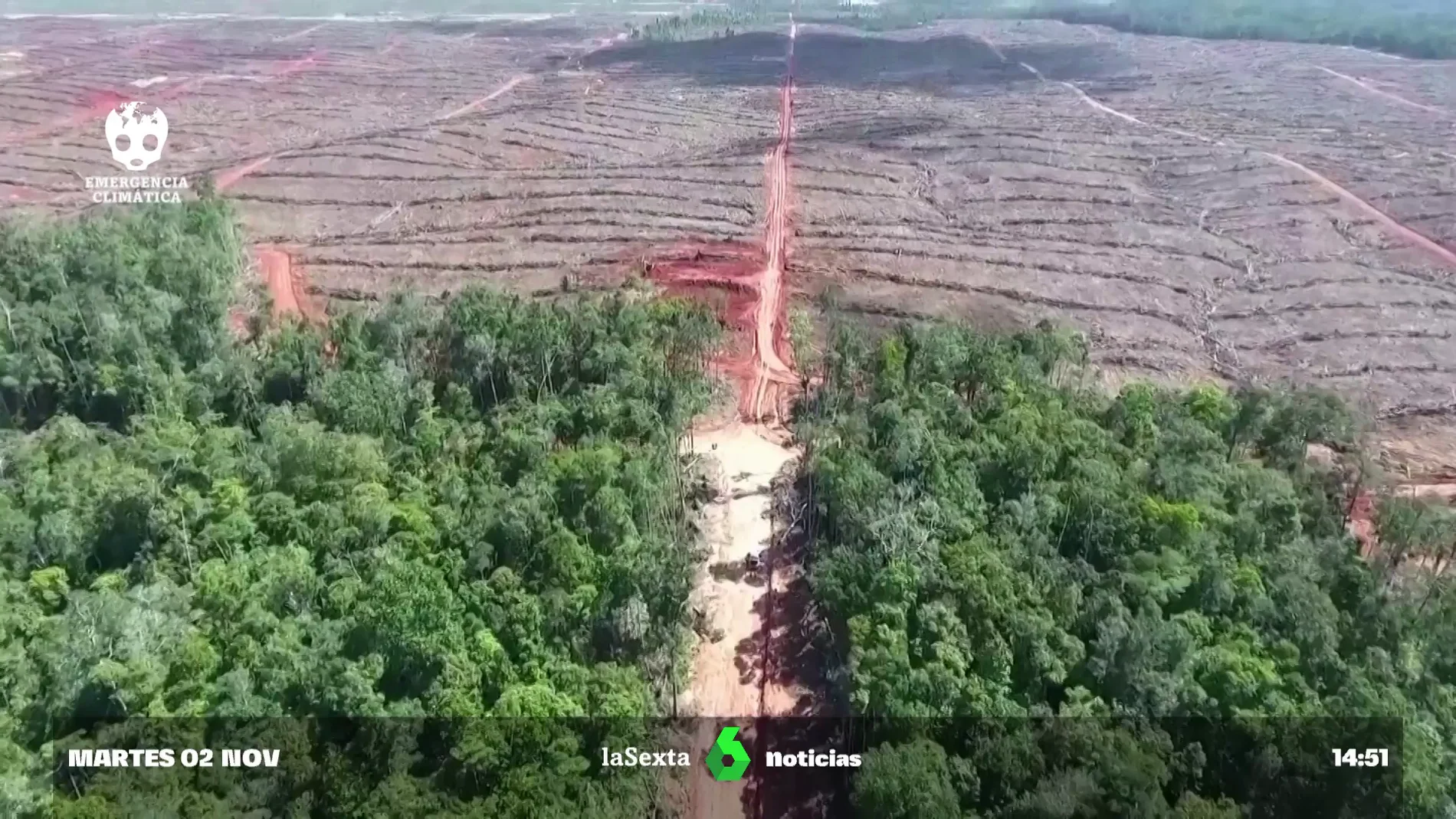 Deforestación