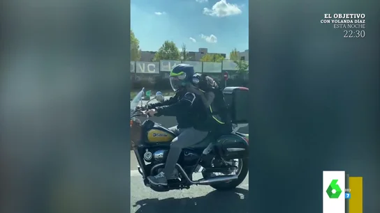 perro perro