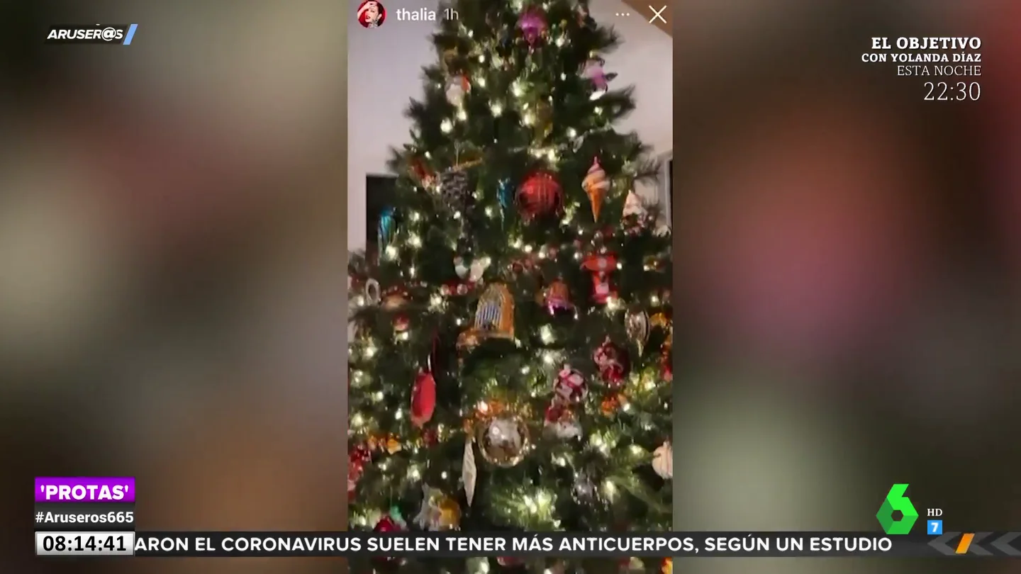 navidadarus navidadarus