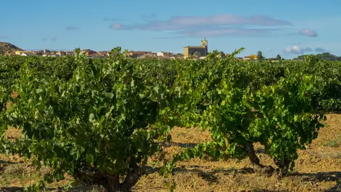 Ribera del Duero Ribera del Duero
