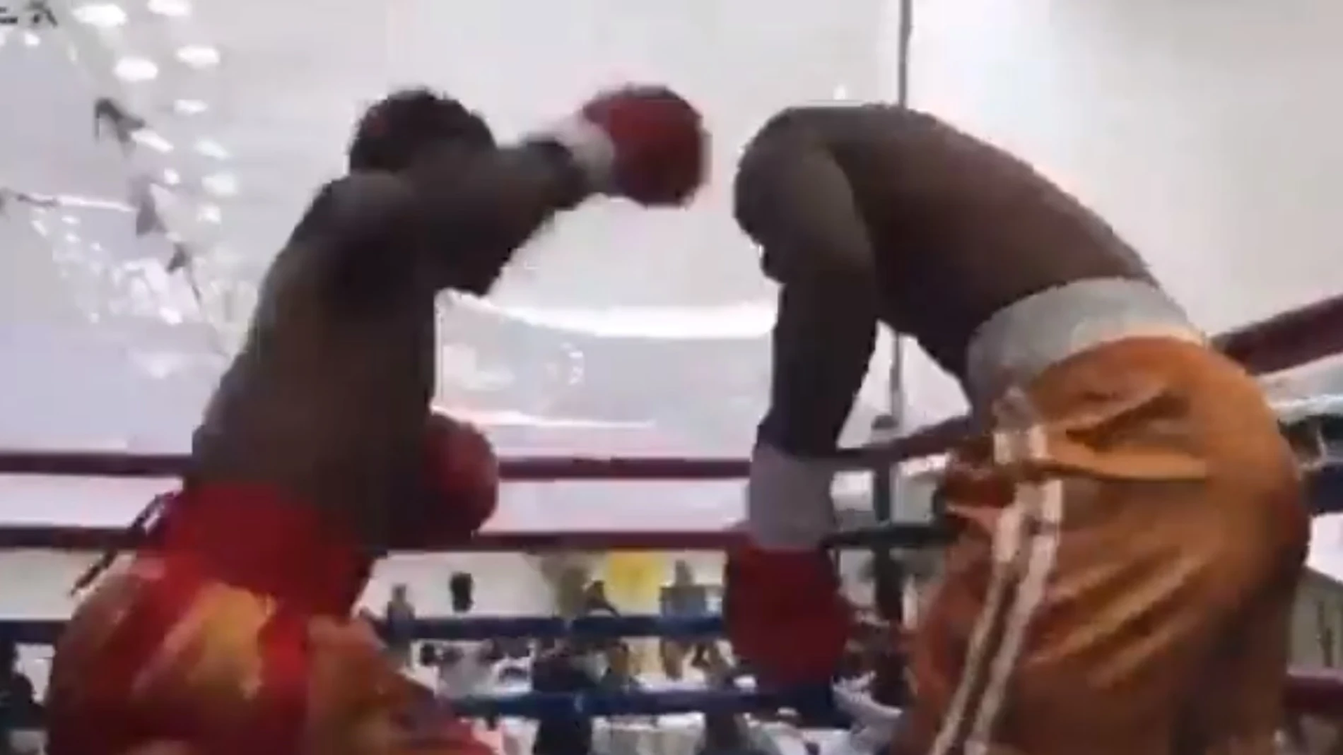 Muere Taurai Zimunya, boxeador de 24 años, tras colapsar en el ring