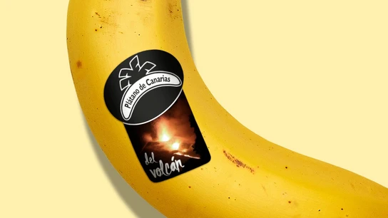 Las nuevas etiquetas para identificar el plátano de La Palma Las nuevas etiquetas para identificar el plátano de La Palma