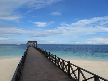 Descubre Sipadan, la isla donde podrás visitar un cementerio de tortugas bajo el mar Descubre Sipadan, la isla donde podrás visitar un cementerio de tortugas bajo el mar