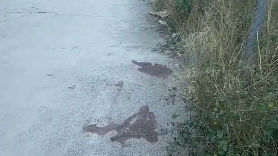 Lugar donde fue encontrada la menor violada en Igualada Lugar donde fue encontrada la menor violada en Igualada
