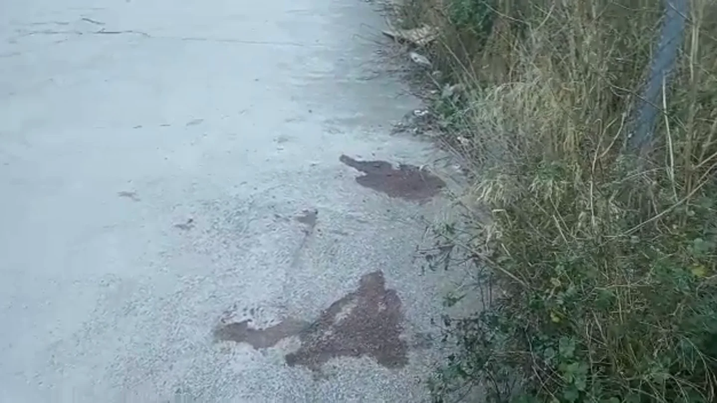 Lugar donde fue encontrada la menor violada en Igualada Lugar donde fue encontrada la menor violada en Igualada
