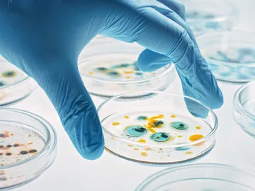 La crisis de las bacterias resistentes a los antibióticos está llegando a un punto de no retorno La crisis de las bacterias resistentes a los antibióticos está llegando a un punto de no retorno