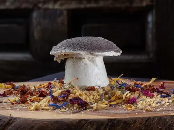 Soria, tierra de setas Soria, tierra de setas