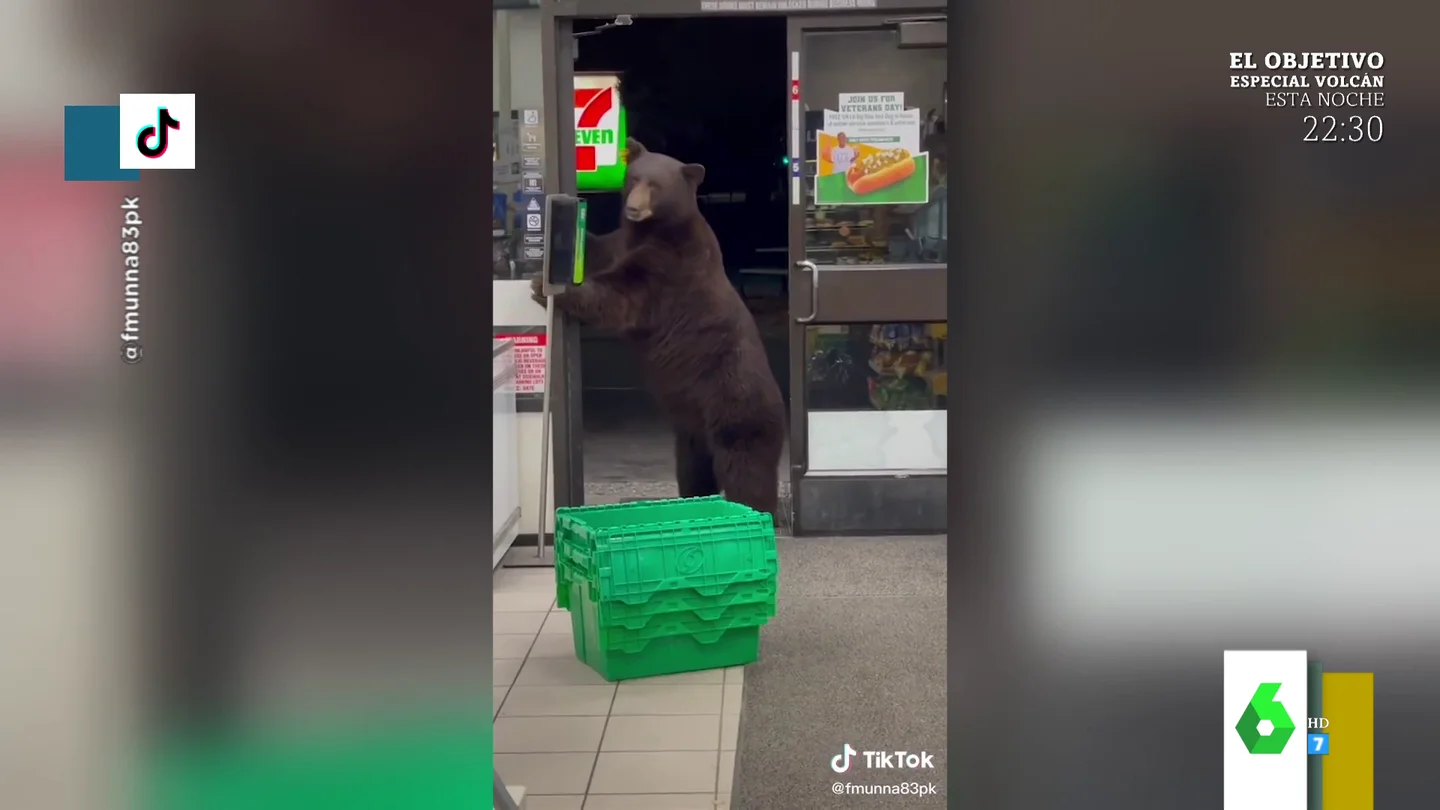 oso oso