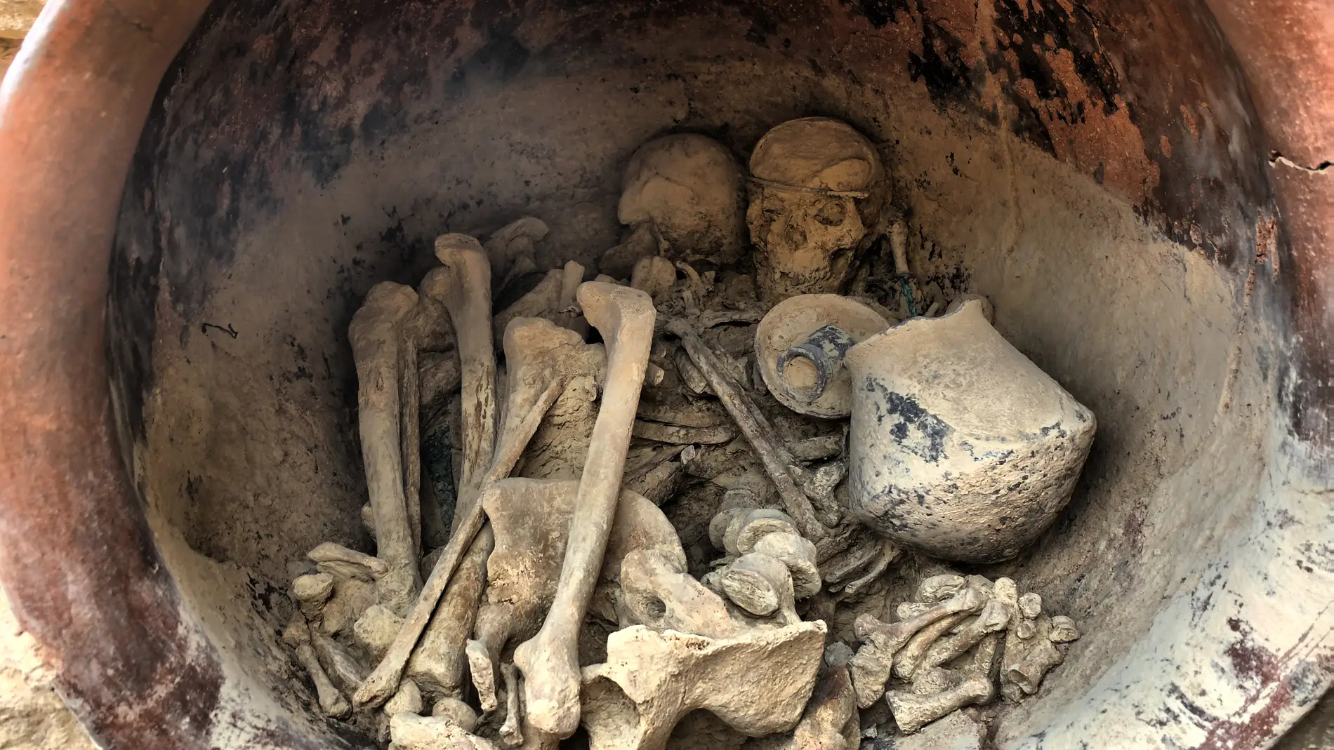 Los genomas de varios individuos revelan cambios en las poblaciones de la Edad del Bronce en el sur peninsular