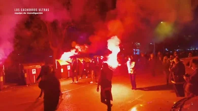 Los cachorros ultras Los cachorros ultras