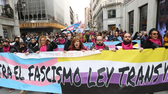 Cientos de personas marchan en Madrid por el Día Internacional de la Memoria Transexual Cientos de personas marchan en Madrid por el Día Internacional de la Memoria Transexual