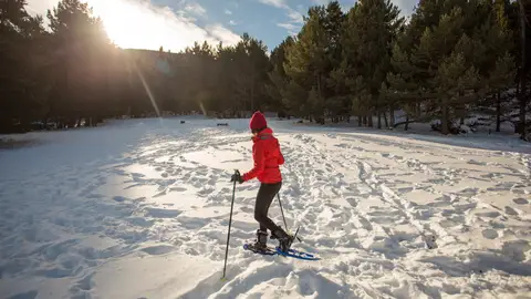 Estació d'Esquí La Molina Estació d'Esquí La Molina