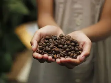 Café Café