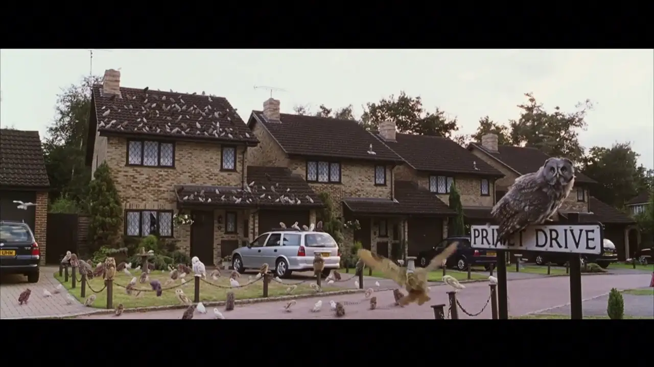 Lo que esconde la escena de las lechuzas en Privet Drive y otras curiosidades de Harry Potter que deberías saber antes de ver la saga 