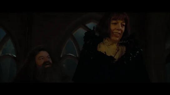 Harry Potter - Hagrid Harry Potter - Hagrid