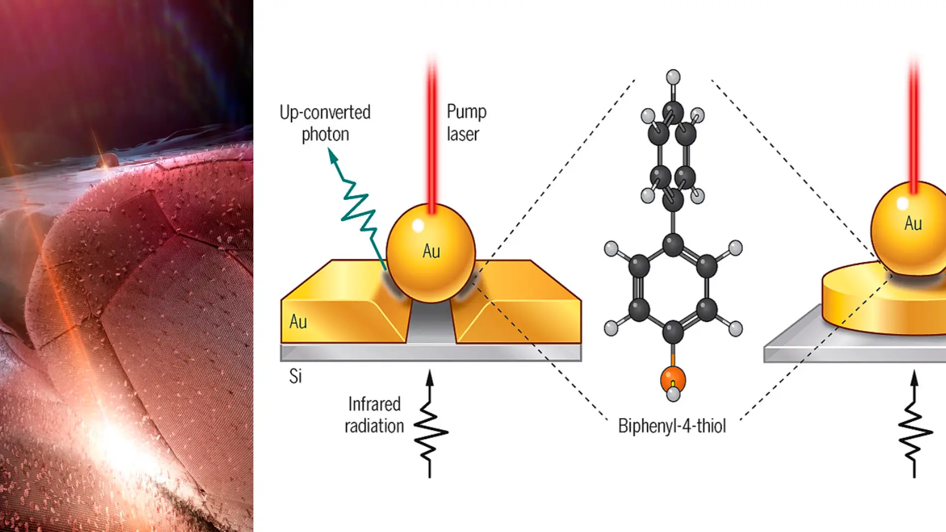 Ilustración y nanoantenas para la conversión de luz infrarroja invisible en luz visible