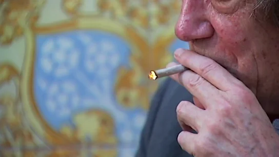La marihuana, presente en el ocio de los jóvenes -y los no tanto- La marihuana, presente en el ocio de los jóvenes -y los no tanto-