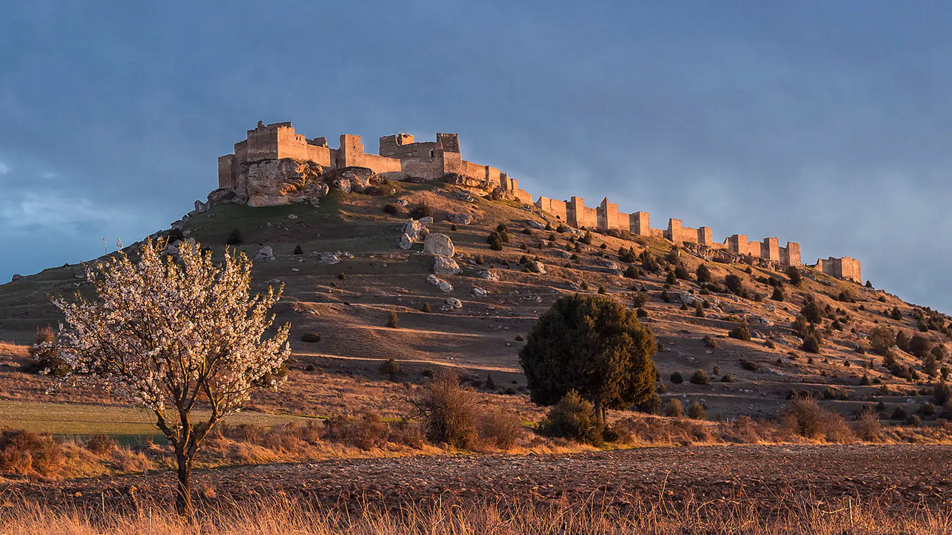 Descubre el Castillo de Gormaz, una de las grandes joyas de Soria
