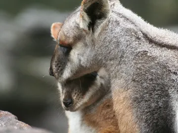 10 cosas que no sabías sobre el sexo 10 cosas que no sabías sobre el sexo