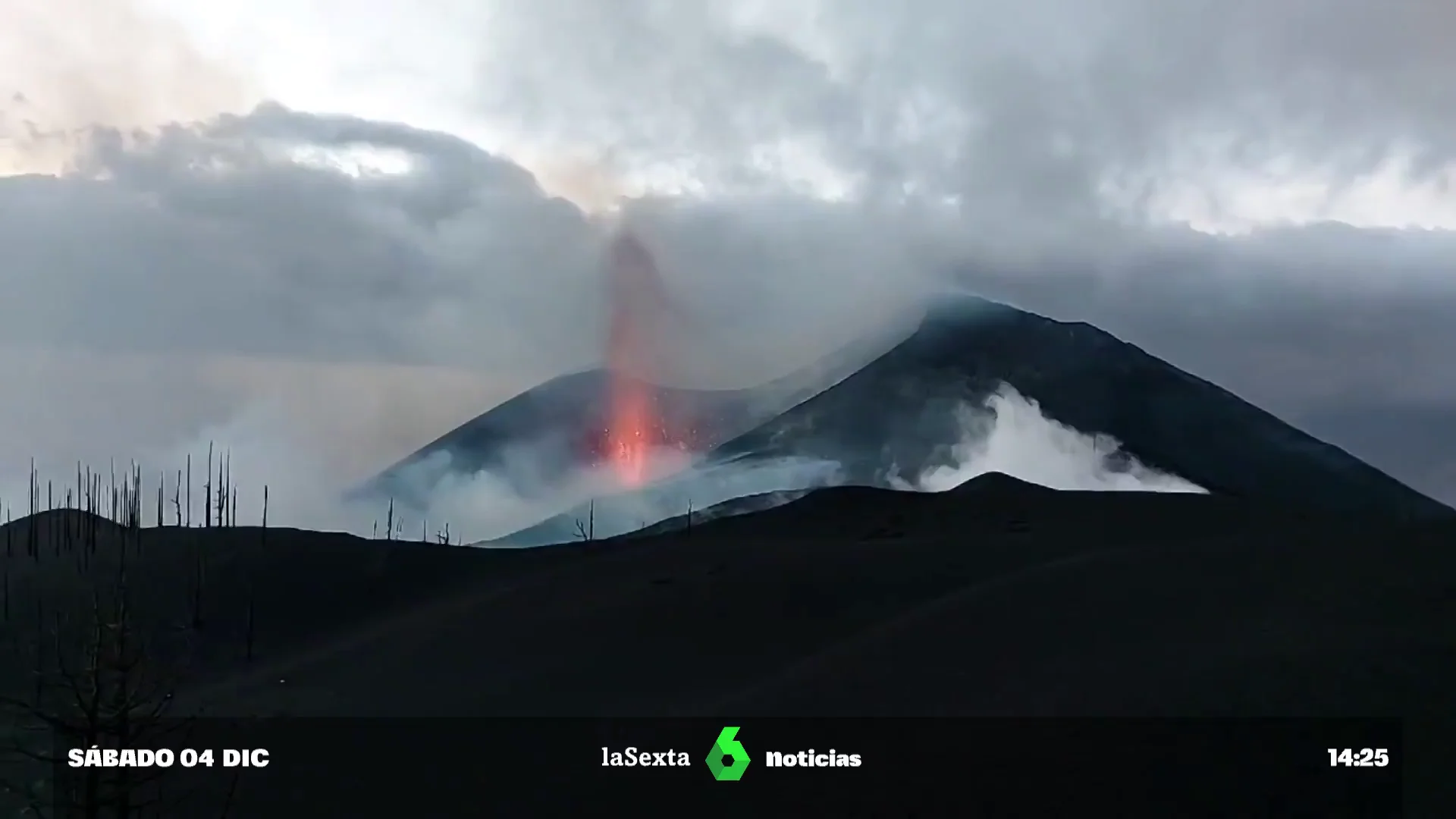 LA PALMA HOY