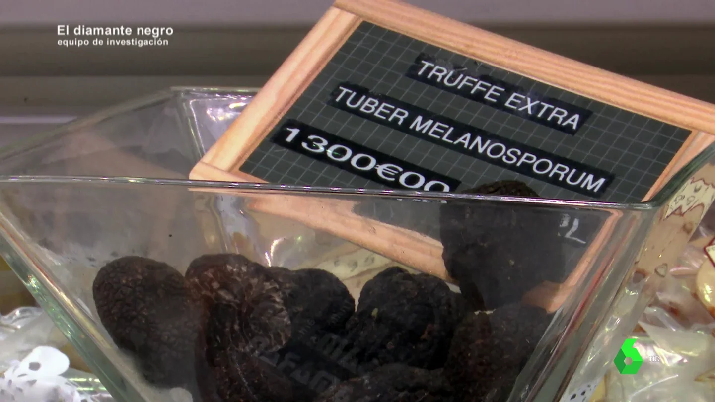 Kilo de trufas negras a 1.300 euros Kilo de trufas negras a 1.300 euros