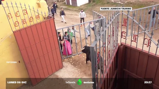 Pánico en un encierro taurino Pánico en un encierro taurino