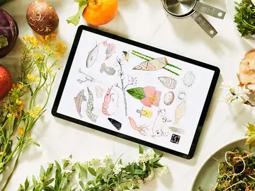 La Samsung Galaxy Tab S8 muestra su sorprendente pantalla en imágenes “oficiales” La Samsung Galaxy Tab S8 muestra su sorprendente pantalla en imágenes “oficiales”