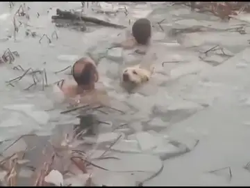 Agentes de la Guardia Civil se lanzan al agua helada para rescatar a un perro tras caer en un embalse en Huesca