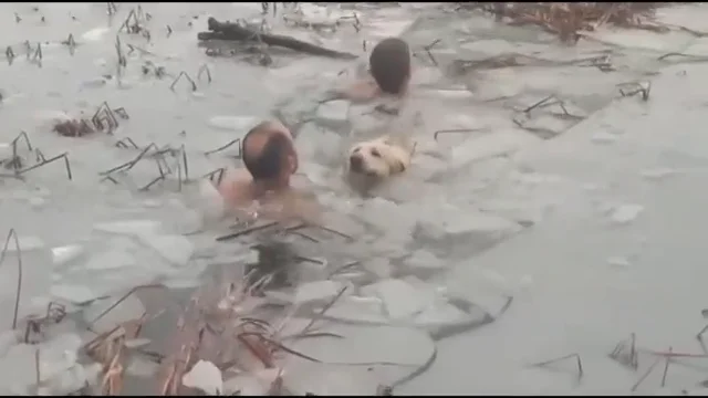 Agentes de la Guardia Civil se lanzan al agua helada para rescatar a un perro tras caer en un embalse en Huesca