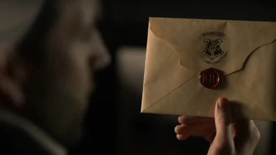 'Harry Potter 20º Aniversario, Regreso a Hogwarts' Harry Potter